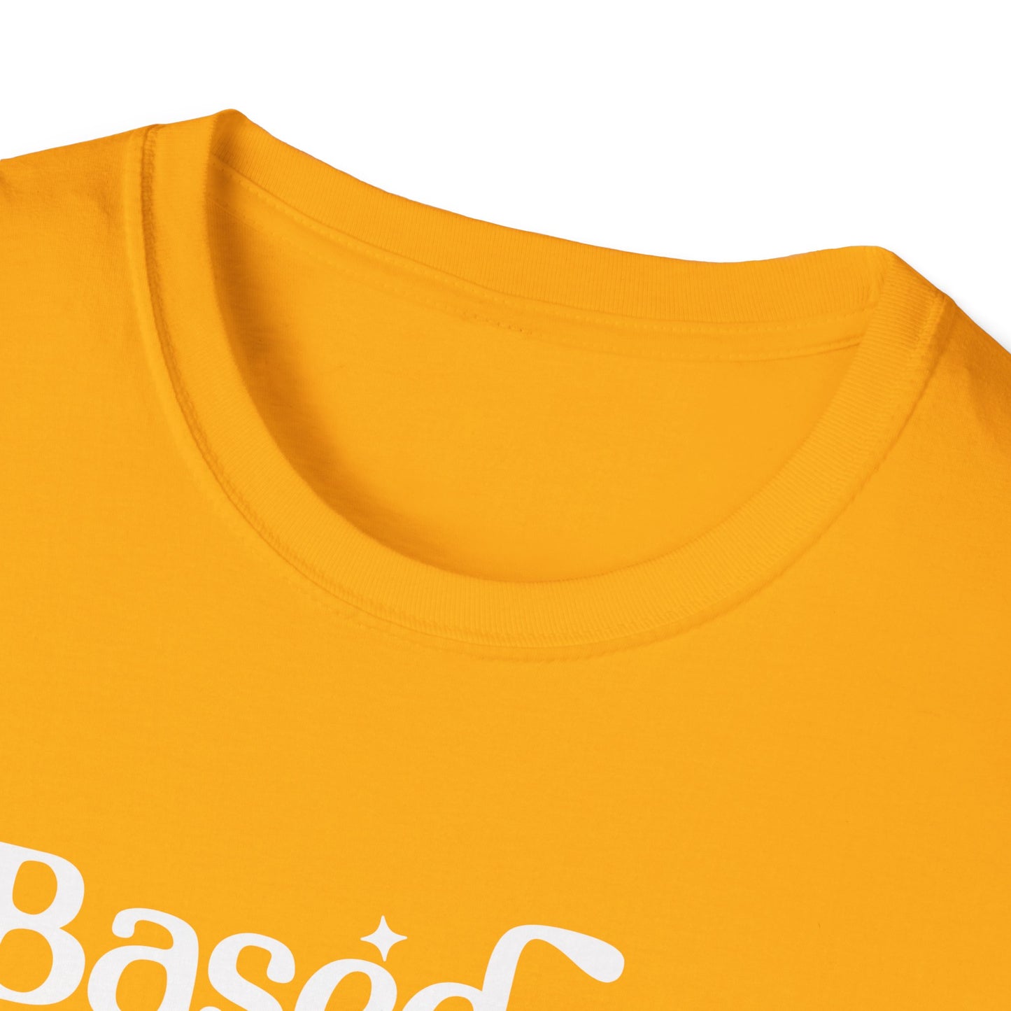 Based on Lived Experience Unisex Softstyle T-Shirt - Inspirational Casual Tee for Everyday Wear